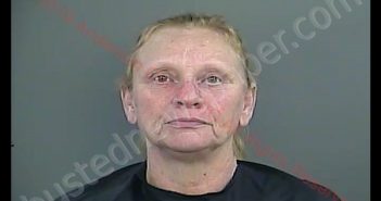 SANDRA JEAN HOLBROOKS | 2019-05-25 17:57:00 Anderson County, South Carolina Booking