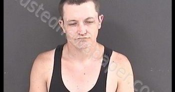 PENDLETON, SETH LEWIS | 2019-05-26 10:39:00 Roanoke County, Virginia Booking