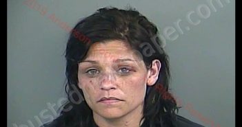 KAITLIN NICOLE CRINER | 2019-05-27 18:18:00 Anderson County, South Carolina Booking