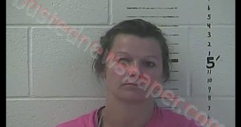 ANDRIA MICHELLE PAGE | 2019-05-28 13:15:00 Hancock County, Mississippi Booking