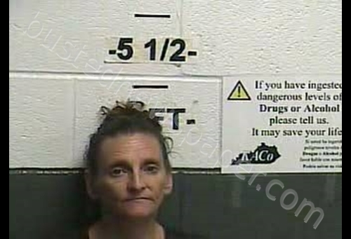 ROXANNE HARVEY #, Whitley County, Kentucky - 2019-05-29 15:40:00