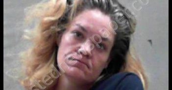 HENDERSON, BETHANY DAWN | 2019-05-29 19:00:00 Ohio County, West Virginia Booking