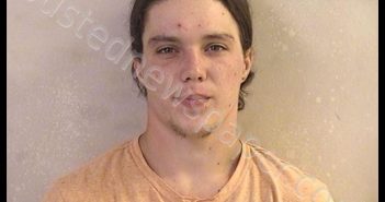 HARVEY, BRANDON LEE | 2019-05-29 12:51:00 Dickinson County, Kansas Booking