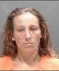 SIMMONS, MICHELLE LEANN | 2019-05-30 Sarasota County, Florida Booking