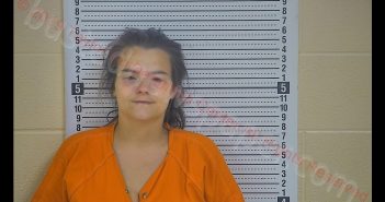 URSULA ADKINS | 2019-05-31 23:30:00 Taylor County, Kentucky Booking