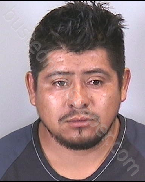 MARTINEZ MOLINA, HENRY JOEL #, Manatee County, Florida - 2019-05-31
