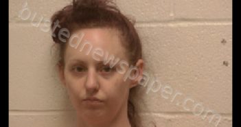 <B>JOHNSON</B>, <B>CHASITY</B> ANN #, Robertson County, Tennessee - 2019-05-31 22:38:00
