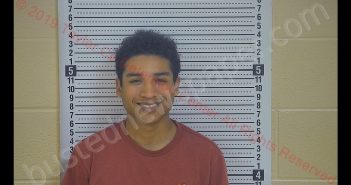 NATHANIEL SANCHEZ | 2019-06-01 15:15:00 Taylor County, Kentucky Booking