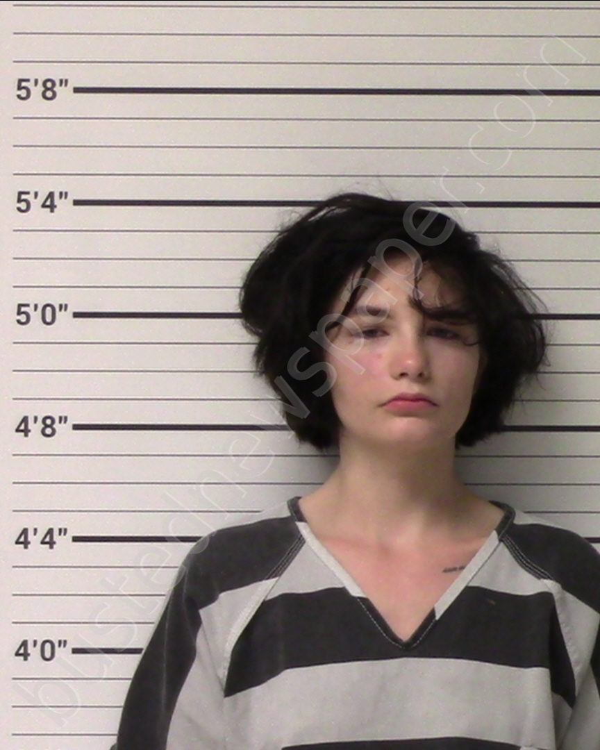 LEMON, HEATHER MICHELLE #, Kerr County, Texas - 2019-06-01