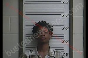 TYREE KESHAWN DEVANCE | 2019-06-01 12:46:00 Brown County, Indiana Booking