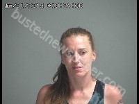 COGNION DANIELLE | 2019-06-01 Sandusky County, Ohio Booking