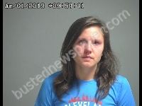 BARON STACEY NOEL | 2019-06-01 Sandusky County, Ohio Booking