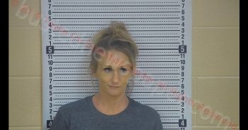 KIMBERLY M BROWN | 2019-06-01 21:27:00 Taylor County, Kentucky Booking