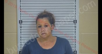 CHASITY A SMITHERS | 2019-06-02 02:05:00 Taylor County, Kentucky Booking