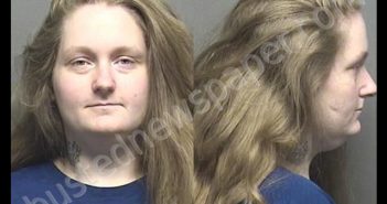JOHNSON,ANNE MARIE | 2019-06-02 12:28:00 Saline County, Kansas Booking
