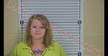 DELANA D DICKENS | 2019-06-02 03:42:00 Taylor County, Kentucky Booking