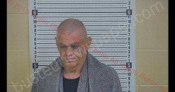 RICKY JO CURTSINGER | 2019-06-02 00:48:00 Taylor County, Kentucky Booking