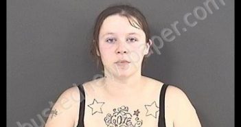 BALDWIN, NICHOLE LYNN | 2019-06-02 19:00:00 Roanoke County, Virginia Booking