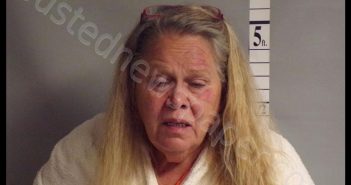 RUSTEMYER, TAMELA SUE | 2019-06-02 01:35:00 Tyler County, West Virginia Booking
