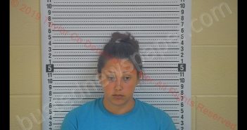 ELIZABETH LYONS | 2019-06-02 13:26:00 Taylor County, Kentucky Booking