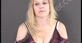 WOOD, SHELLY RENEE | 2019-06-02 02:17:00 Roanoke County, Virginia Booking