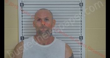 MICAH RYAN SEARS | 2019-06-03 23:43:00 Taylor County, Kentucky Booking