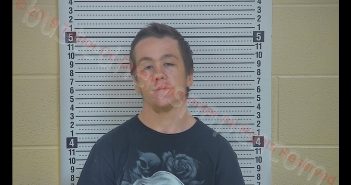 TYLER CHARLES MILBURN | 2019-06-03 04:45:00 Taylor County, Kentucky Booking