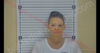 HOLLY MARIE ABELL | 2019-06-03 16:58:00 Taylor County, Kentucky Booking