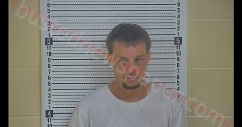 JOHN D SMITH | 2019-06-03 19:32:00 Taylor County, Kentucky Booking