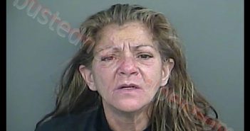 MICHELLE ALVAREZ SMITH | 2019-06-03 23:38:00 Anderson County, South Carolina Booking