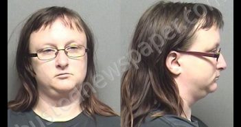 JONES,MELISSA KAY | 2019-06-03 23:40:00 Saline County, Kansas Booking