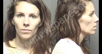 SHANKS,CHELSEA LEE | 2019-06-04 15:19:00 Saline County, Kansas Booking