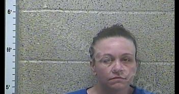 BARBARA STAPLETON | 2019-06-04 21:57:00 Henderson County, Kentucky Booking