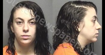 BOOS,ELIZABETH CHRISTINE | 2019-06-04 20:41:00 Saline County, Kansas Booking