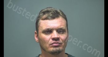 LAWRENCE TJ LEACH | 2019-06-04 04:24:00 Isabella County, Michigan Booking