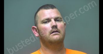 ROBERT LUTHER ZIMMERMAN | 2019-06-04 01:21:00 Isabella County, Michigan Booking
