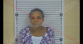 LINDA JOHNSON | 2019-06-04 10:37:00 Taylor County, Kentucky Booking