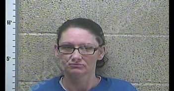 JO ROLPH | 2019-06-04 21:08:00 Henderson County, Kentucky Booking