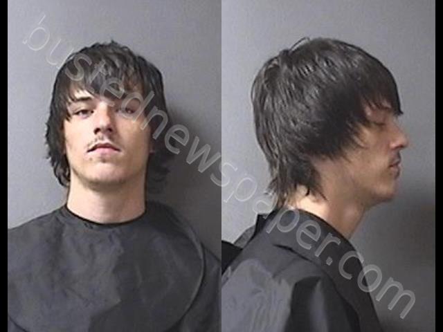 BRYSON, DYLAN COLE #, Madison County, Indiana - 2019-06-04 02:28:00