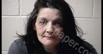 APRIL ALBERTSON | 2019-06-04 02:32:00 Scott County, Indiana Booking
