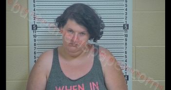 CAROLYN MARIE CARTER | 2019-06-05 01:26:00 Taylor County, Kentucky Booking