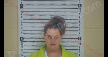 JESSICA E COX | 2019-06-05 16:55:00 Taylor County, Kentucky Booking