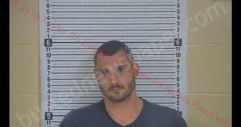 BOBBY MULL | 2019-06-05 00:24:00 Taylor County, Kentucky Booking