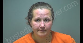 SAVANNAH LEE ROSS | 2019-06-05 10:28:00 Isabella County, Michigan Booking