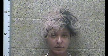 BRITTANY A REDNOUR | 2019-06-05 00:34:00 Henderson County, Kentucky Booking