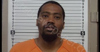 LIONEL LAMONT GREER | 2019-06-05 16:56:00 Scott County, Missouri Booking