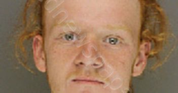 BURGESS, ALAN DALE | 2019-06-06 20:32:00 Moore County, North Carolina Booking