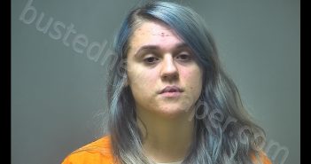 MEAGEN RENEE MALLPORT | 2019-06-06 09:35:00 Isabella County, Michigan Booking