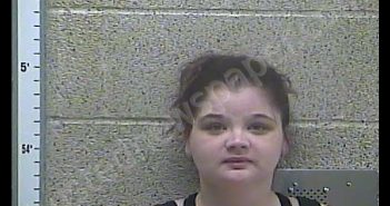 CHELSEY NICOLE WEBB | 2019-06-07 08:05:00 Henderson County, Kentucky Booking