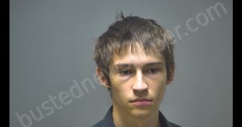 AARIC JOSEPH FAIRCHILD | 2019-06-07 16:06:00 Isabella County, Michigan Booking